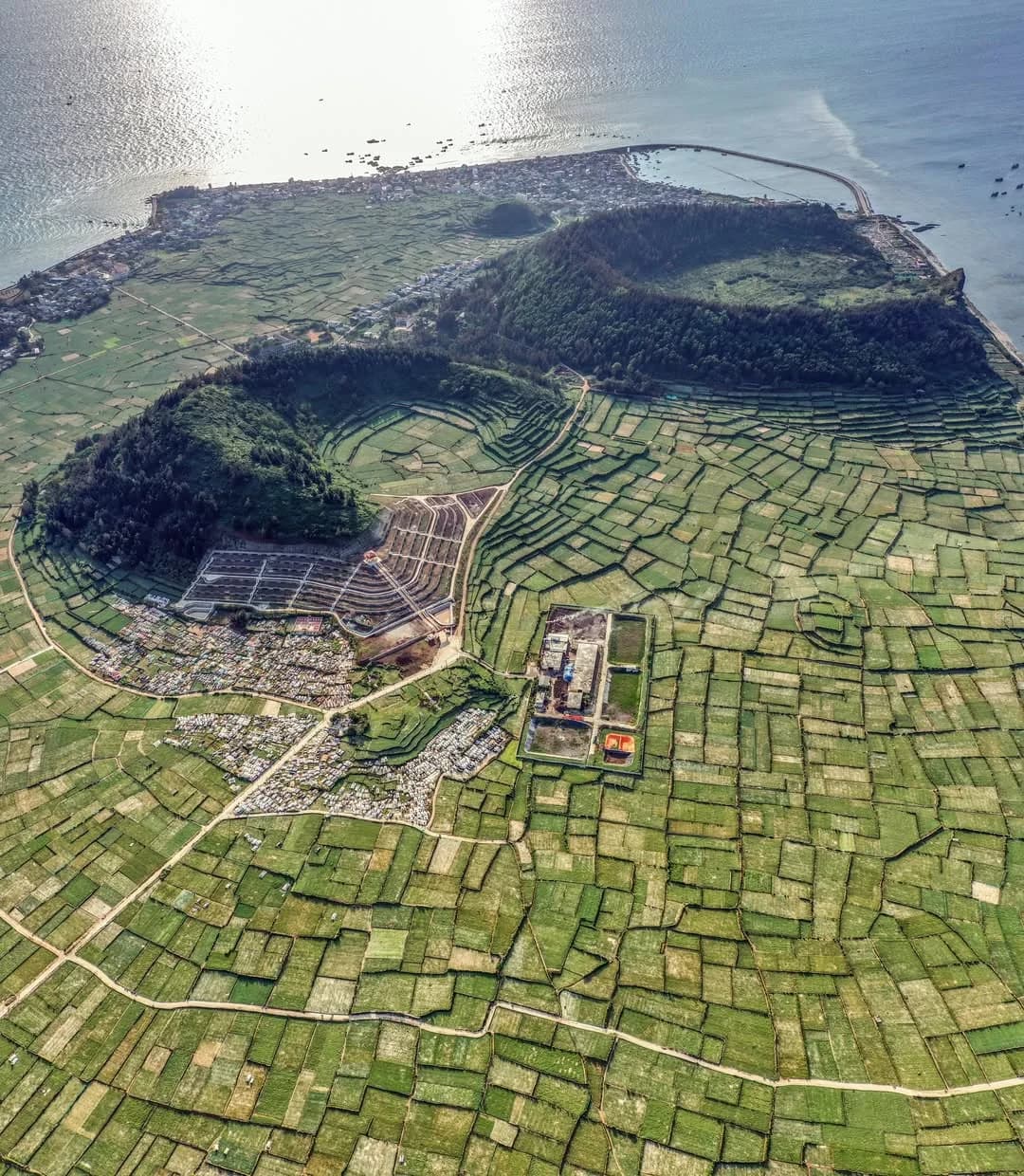 Cánh Đồng Tỏi Lý Sơn